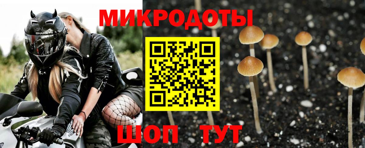 Псилоцибиновые грибы Cubensis  Вход с VPN  Галлюциногенные грибы Psilocybe  Курчалой 